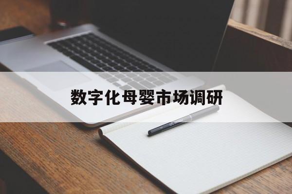 酒泉市数字化母婴市场调研(数字化母婴市场调研报告)